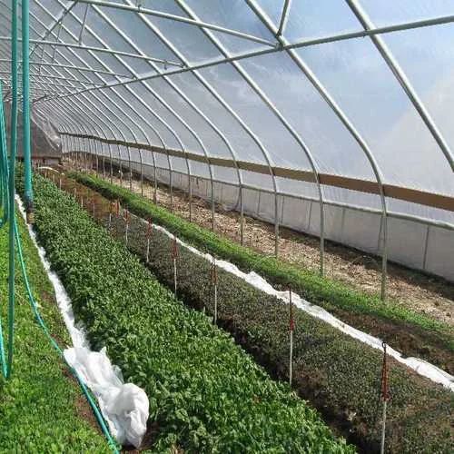    Polished FRP Agricultural Green Houses, Size : Customised